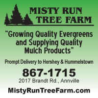 Misty Run Tree Farm