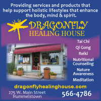 The DragonFly Healing House