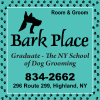 Kennel-Pet Grooming-Pet Boarding Highland, NY-Bark Place Room & Groom