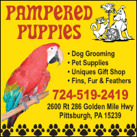 Pampered Puppies