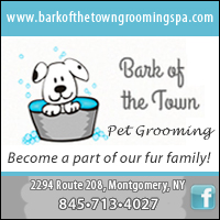 Dog & Cat Grooming in Walden NY-Bark of the Town Pet Grooming