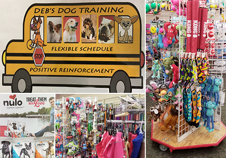 Pet Store-Dog & Cat Food & Supplies-Dog Training at Pet Headquarters