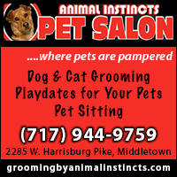 Animal Instincts is a pet grooming salon in Middletown, PA.
