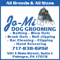 Dog-Pet Groomers in Palmyra, PA-JoMi Pet Grooming