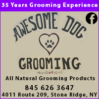 Dog Groomer - Awesome Dog Grooming in Stone Ridge, NY