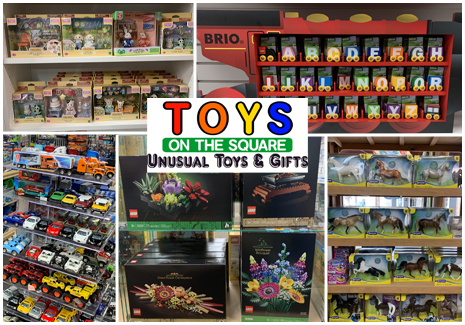 Toy Store- in Hummesltown, PA-Toys On The Square