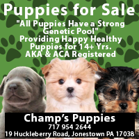 Dog Breeder in Bethel, Myerstown & Lebanon PA-Champ's Puppies.